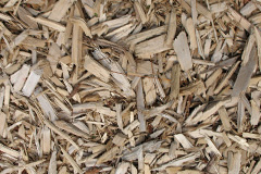 biomass boilers Camusterrach